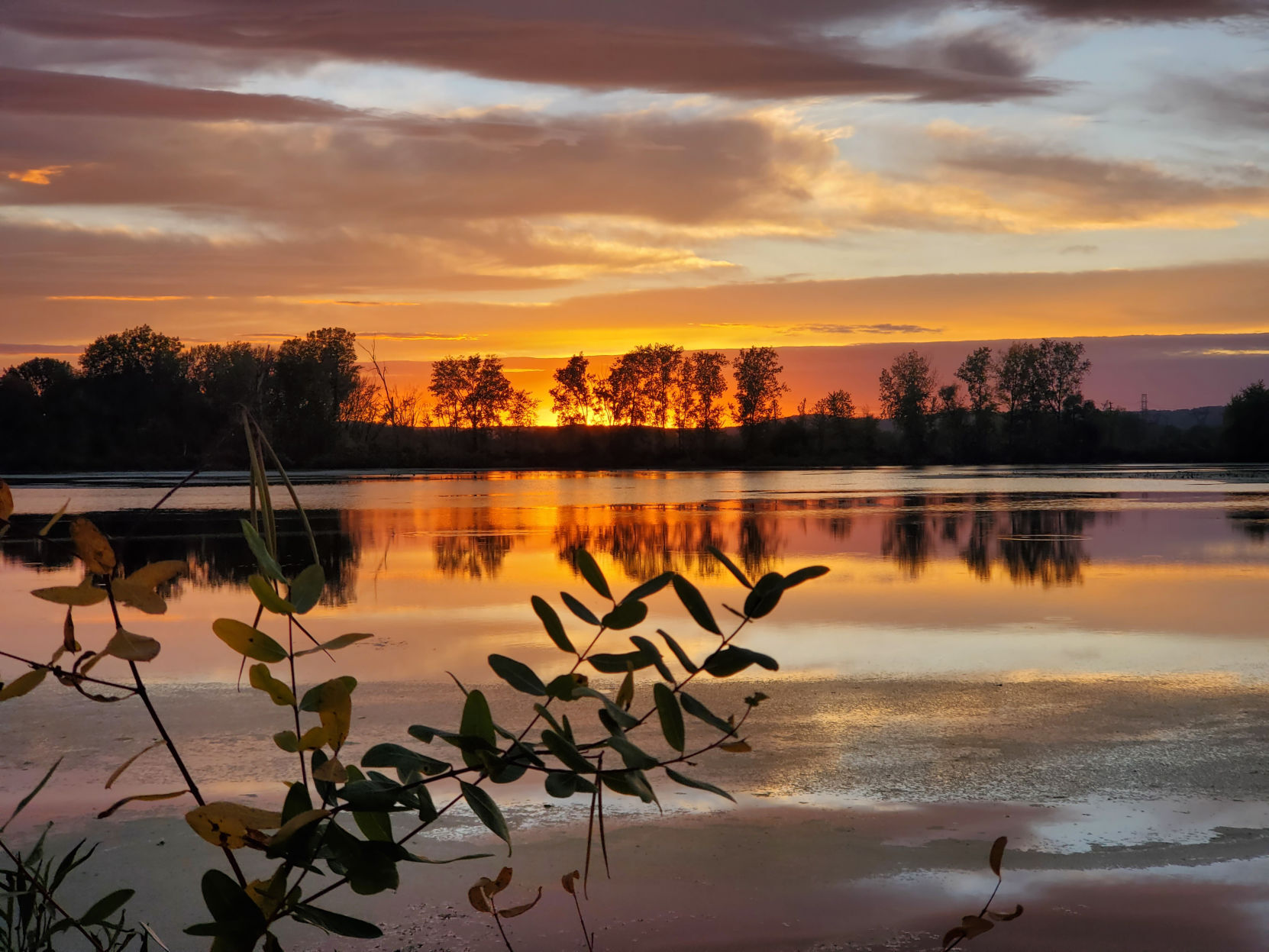 La Crosse, Wis.